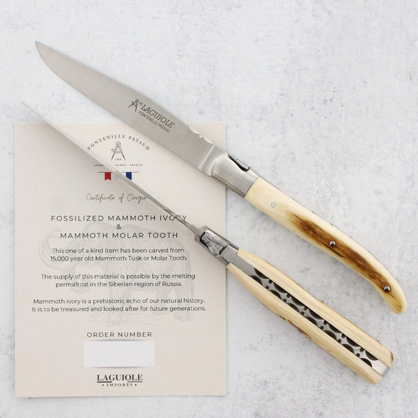 Set of 2 Laguiole Forged Steak Knives Fossilized Mammoth Tusk - B