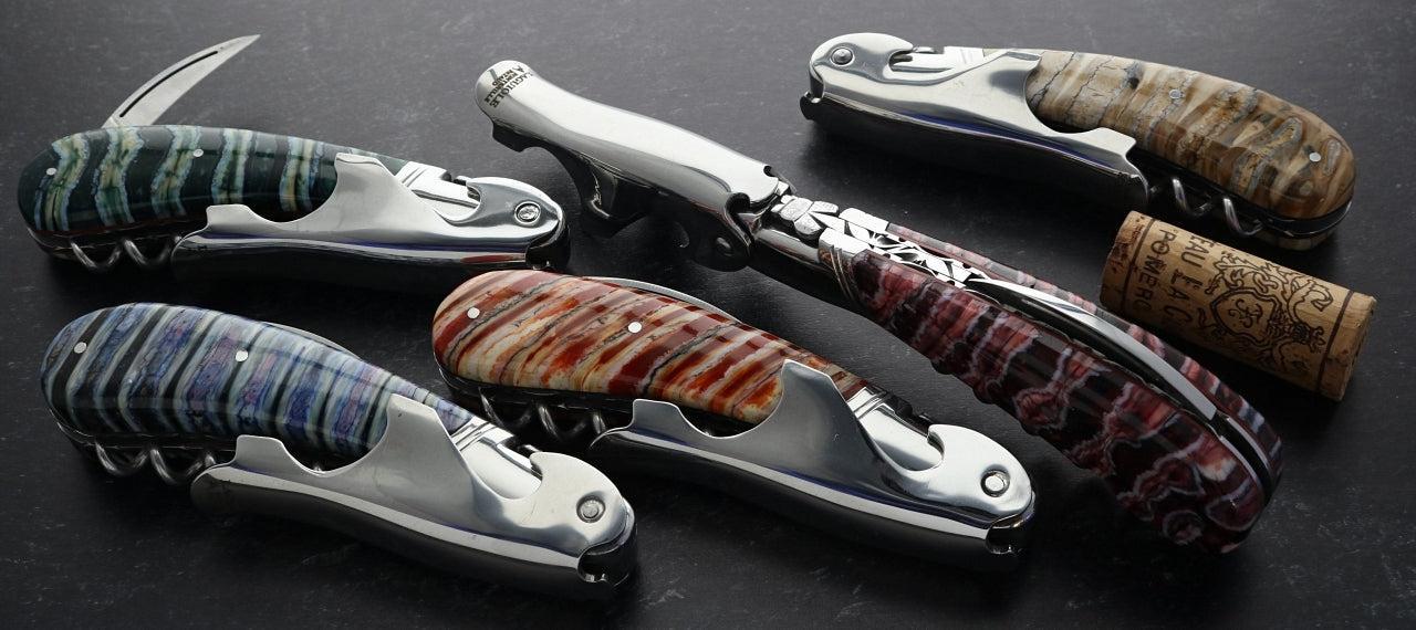 Mammoth Fossilized Tooth & Ivory