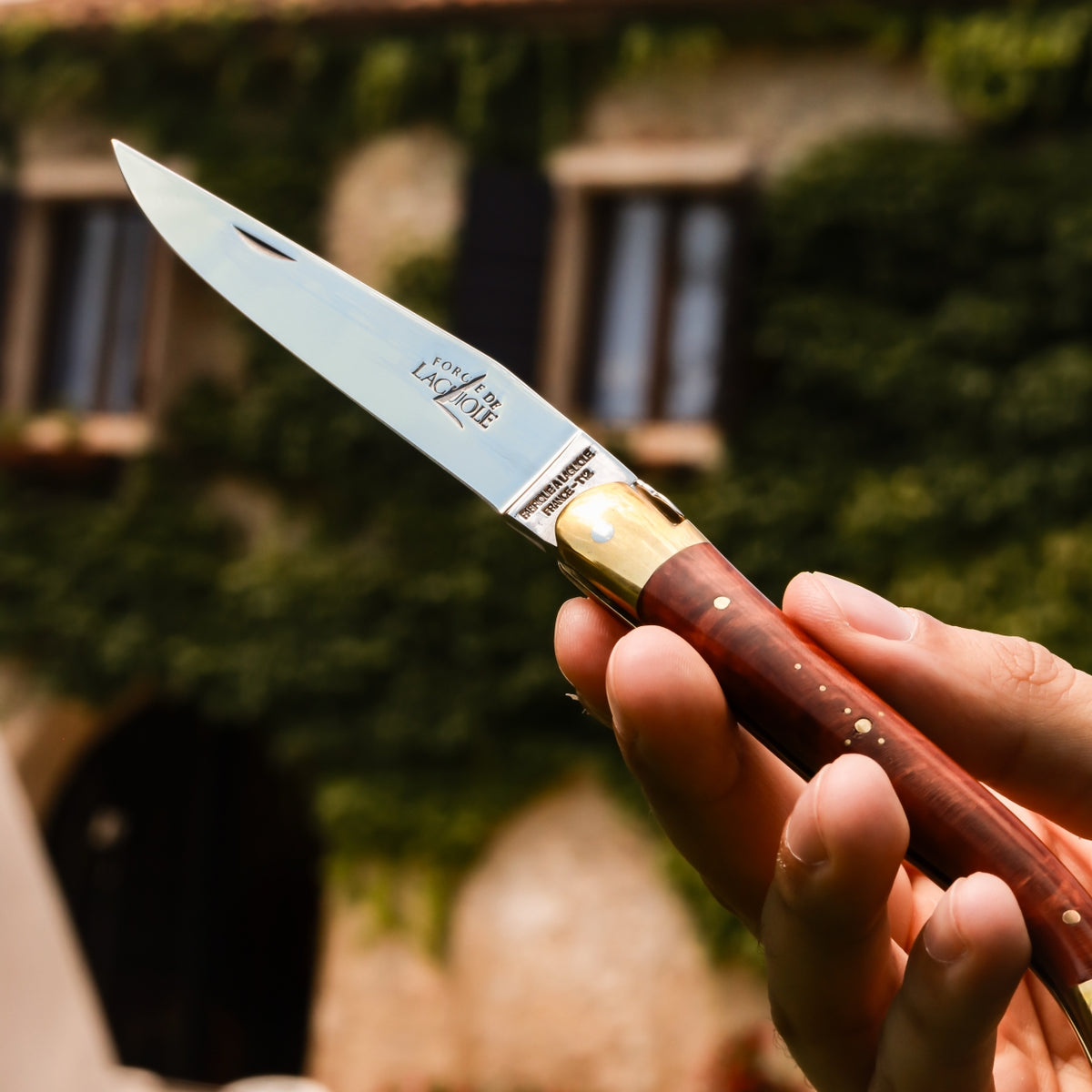 Forge de Laguiole Tradition 11 cm Briarwood