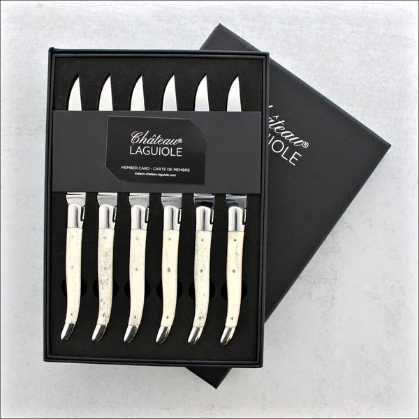 Set of knives in a Château Laguiole packaging on a light gray background