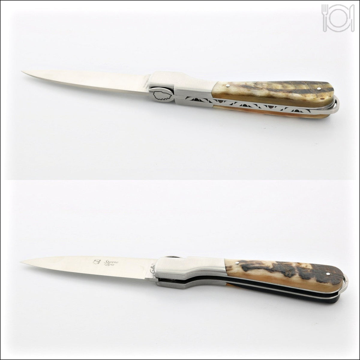 Corsican Sperone Pocket Knife Dark Ram Horn Tip