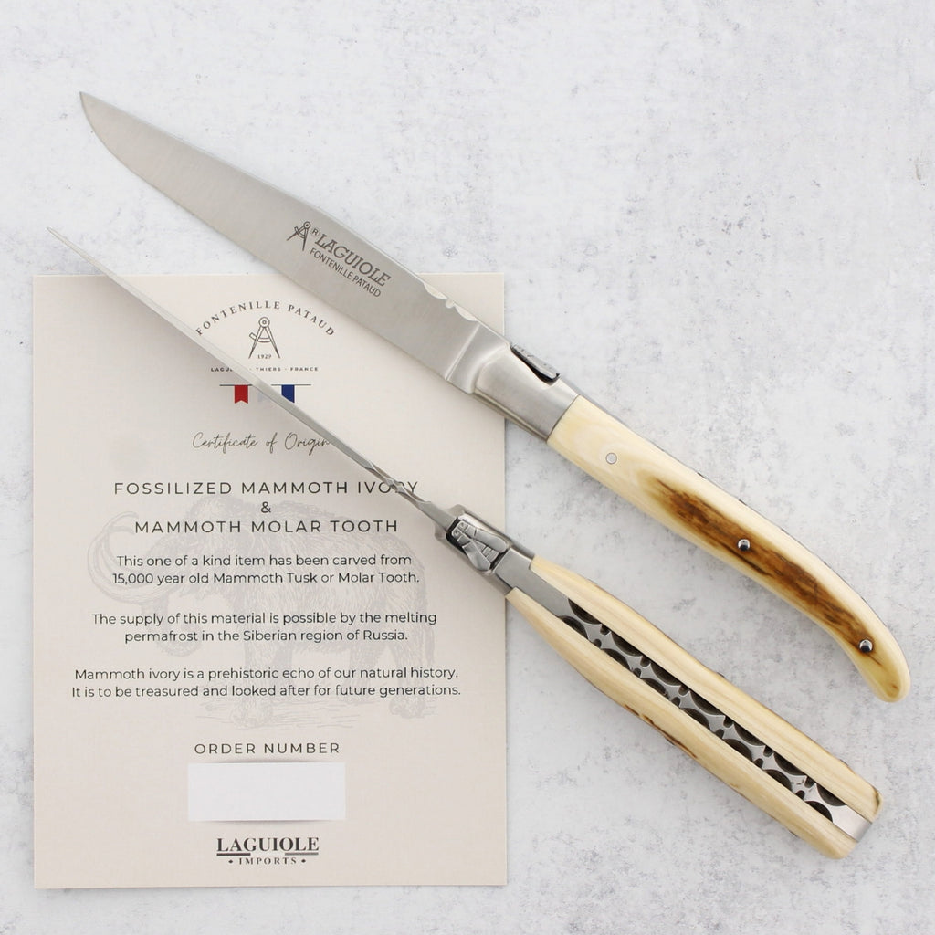 Set of 2 Laguiole Forged Steak Knives Fossilized Mammoth Tusk - B