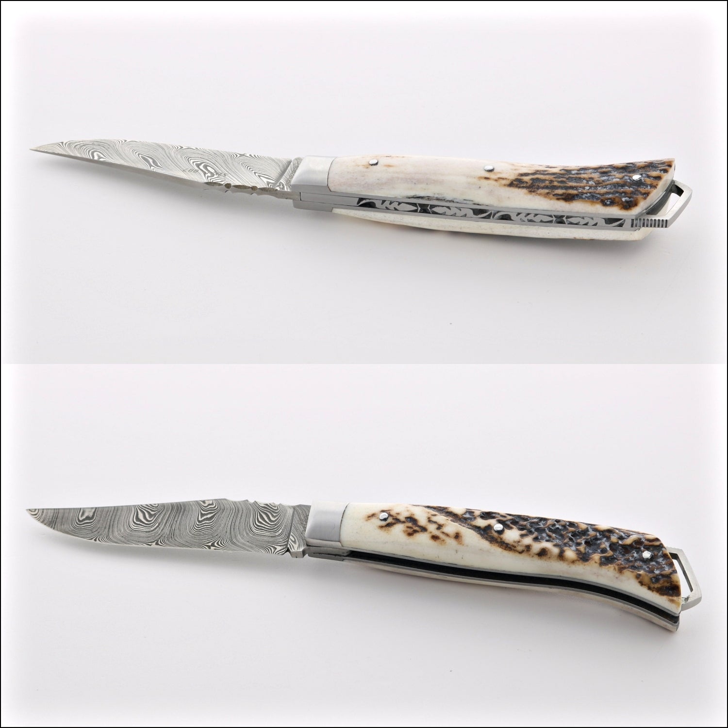 Le Saint-Bernard Pocket Knife - Damascus Blade Deer Stag - A