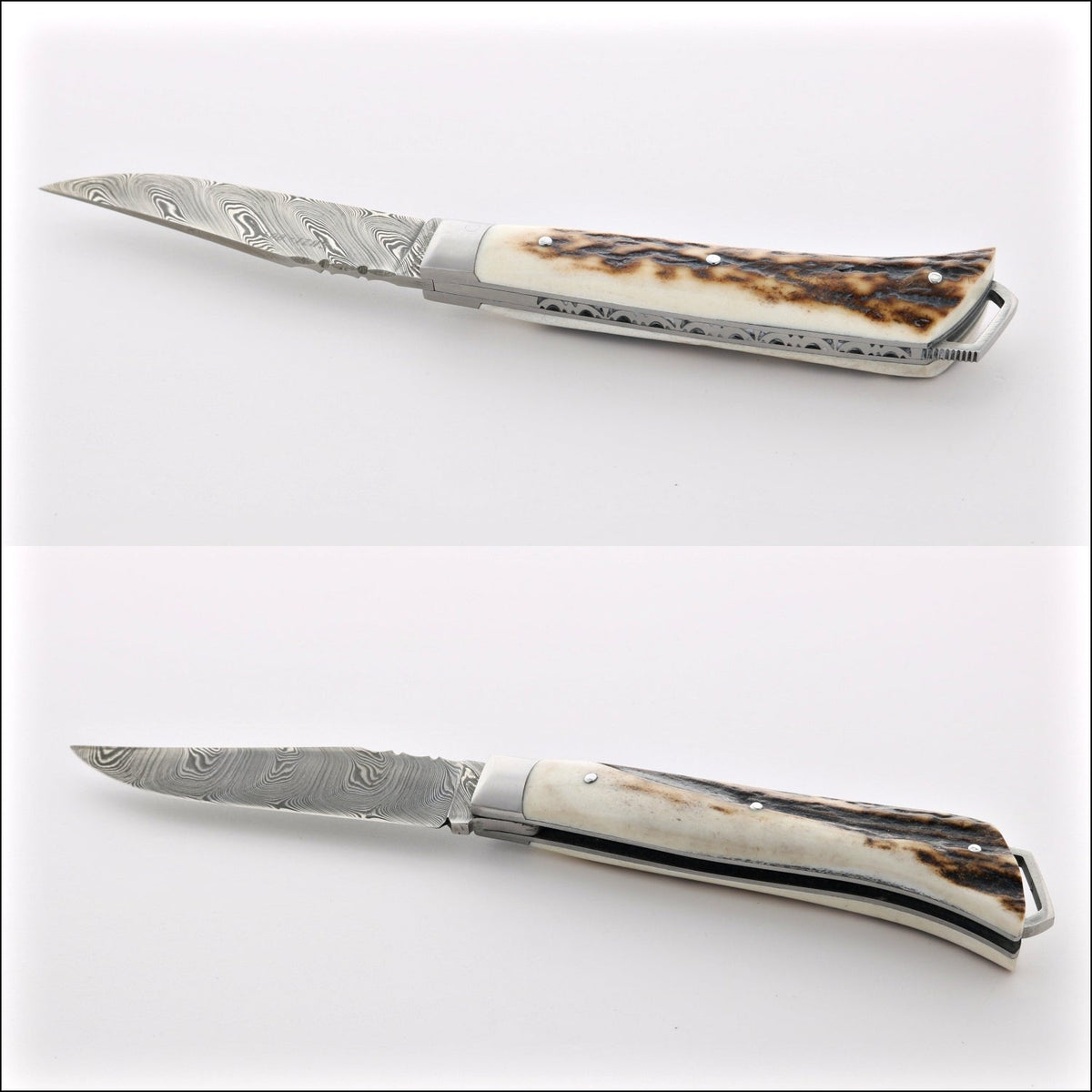 Le Saint-Bernard Pocket Knife - Damascus Blade Deer Stag - B
