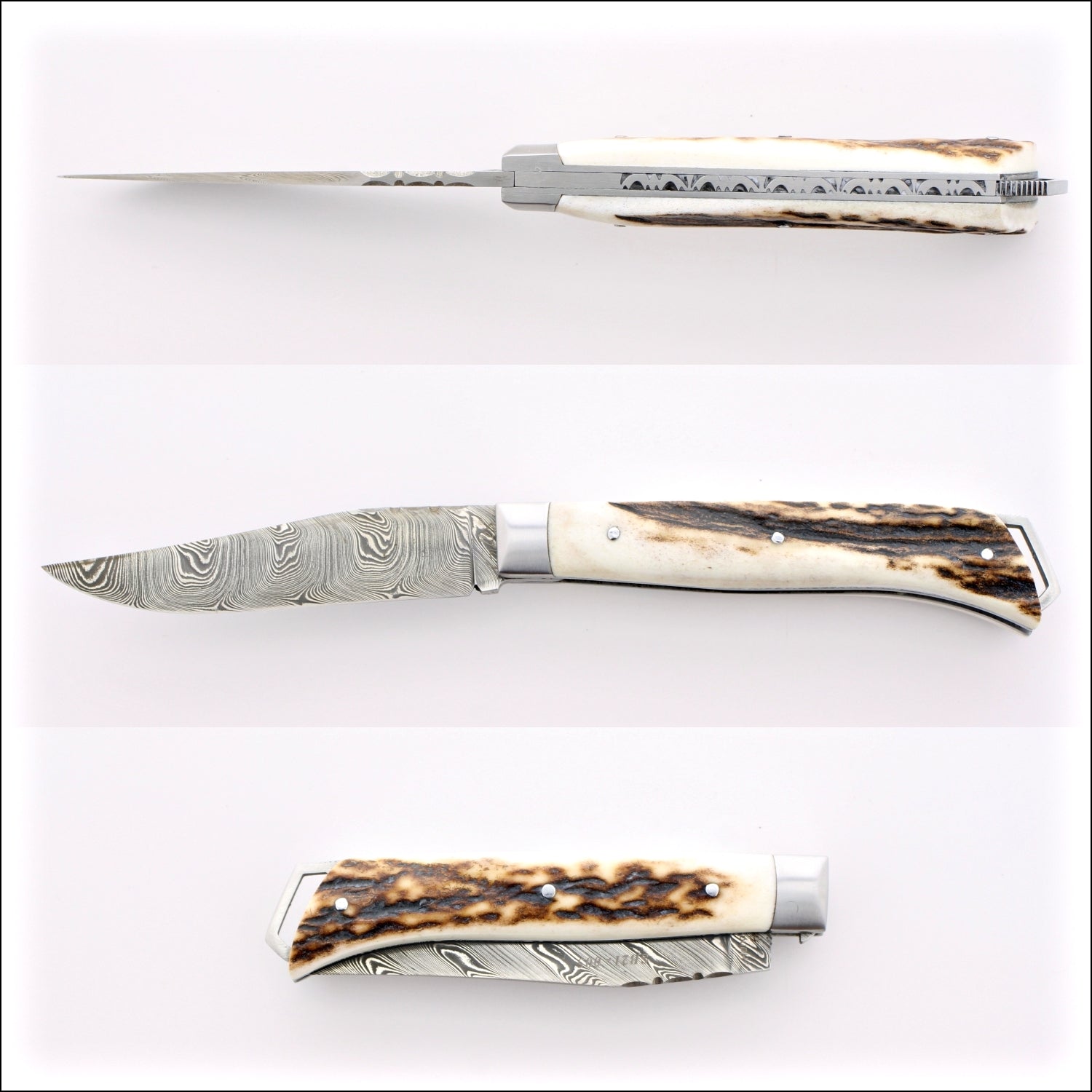 Le Saint-Bernard Pocket Knife - Damascus Blade Deer Stag - B
