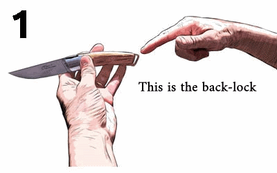 Le Thiers® 10 cm Pocket knife - Damascus Blade - Buffalo Bark Handle