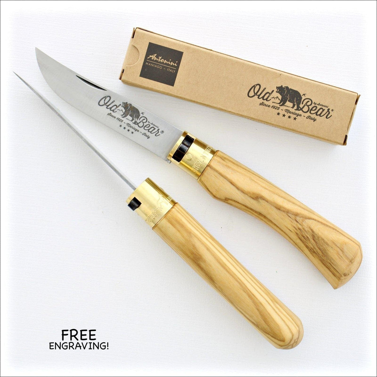 Old Bear No23 Olive Wood Handle