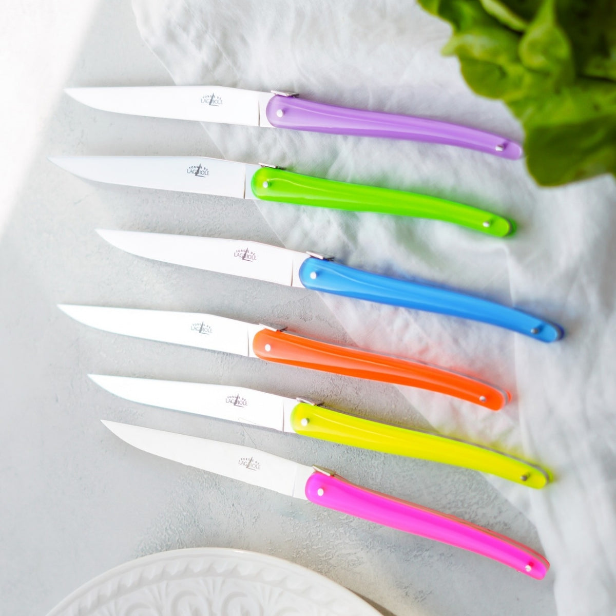 Jean-Michel Wilmotte Neon Handle Steak Knives (set of 6)