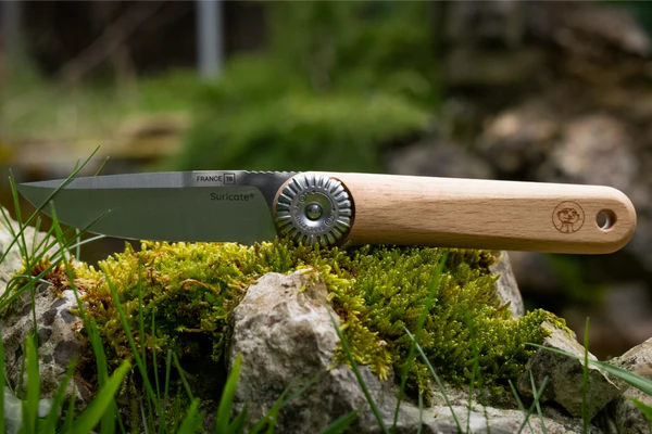 SURICATE® Pocket Knife Beechwood Handle