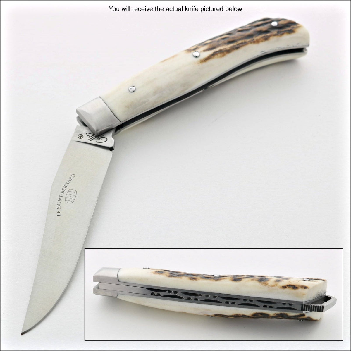 Le Saint-Bernard Pocket Knife - Deer Stag Handle - D