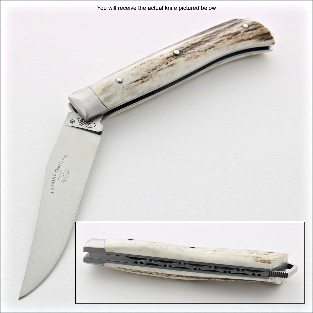 Le Saint-Bernard Pocket Knife - Deer Stag Handle - E