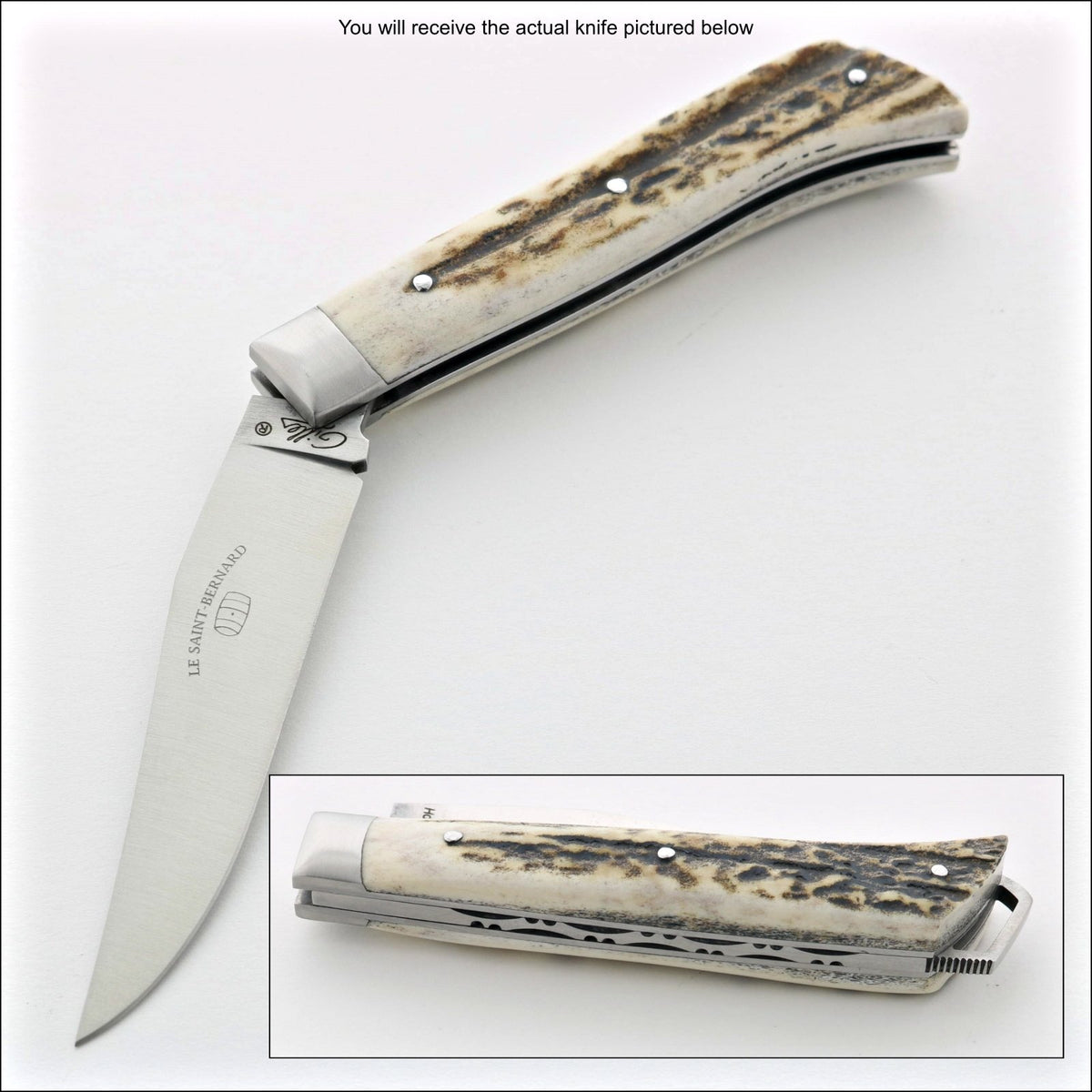 Le Saint-Bernard Pocket Knife - Deer Stag Handle - F