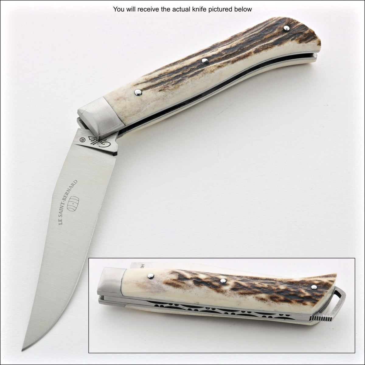 Le Saint-Bernard Pocket Knife - Deer Stag Handle - G