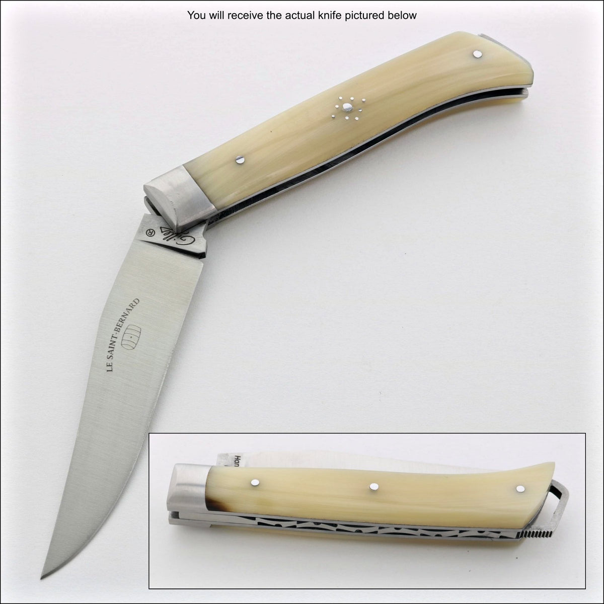 Le Saint-Bernard Pocket Knife - Horn Tip Handle - B