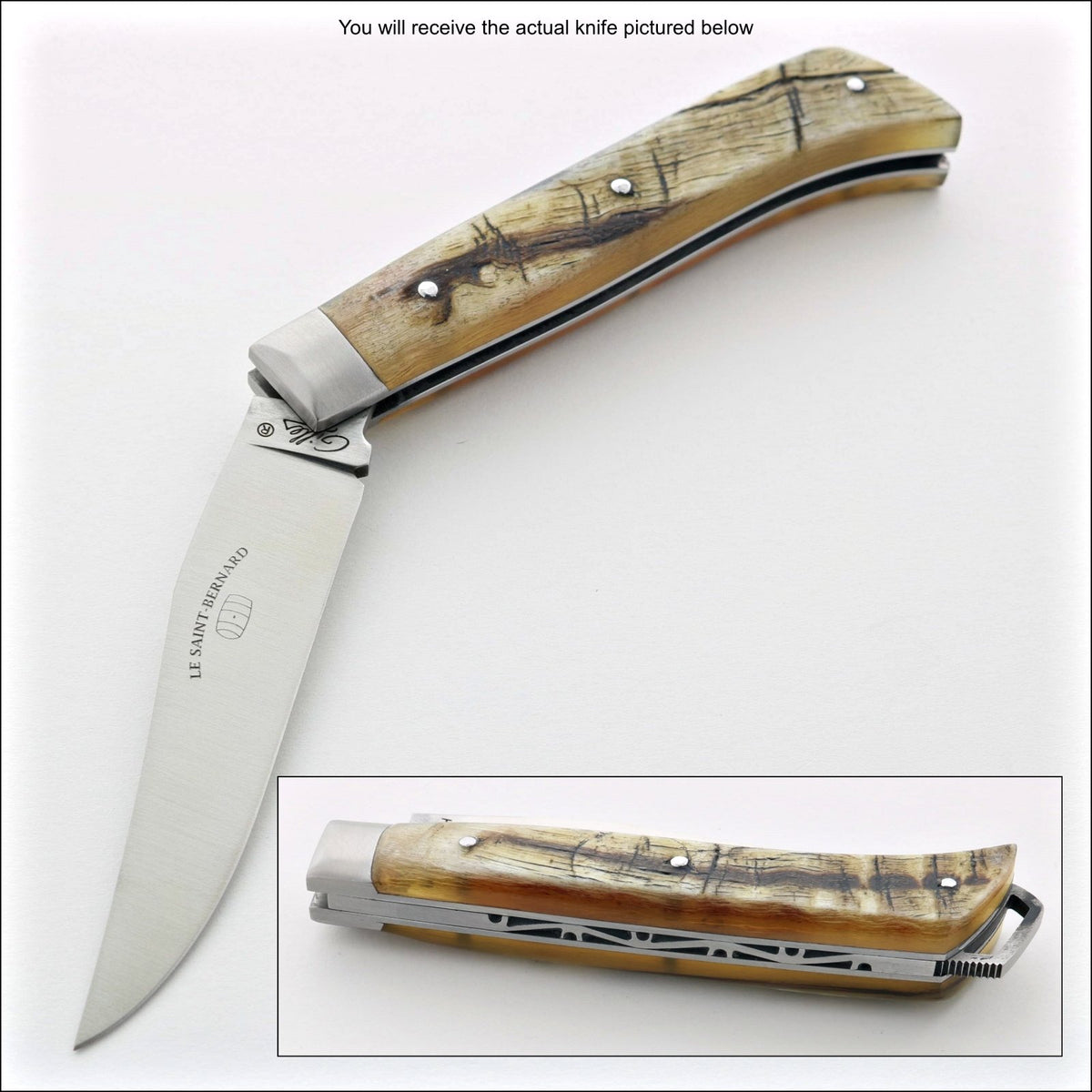 Le Saint-Bernard Pocket Knife - Ram Horn Handle - C